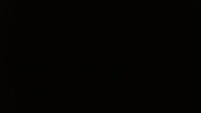 petitoiseau67 webcam