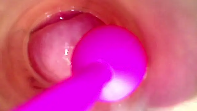 shannon_kinne_ webcam