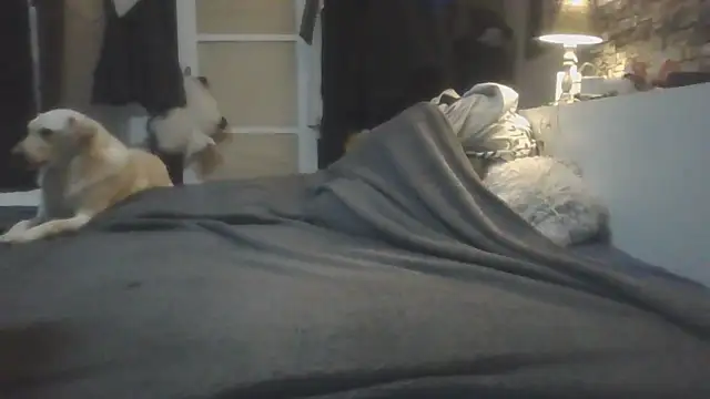 Prehistorixxx2686 webcam