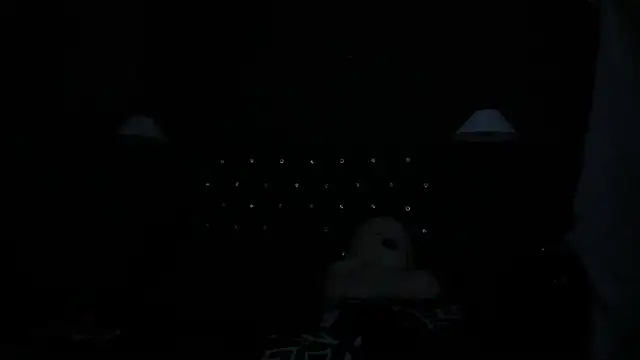 Salomon_koude webcam