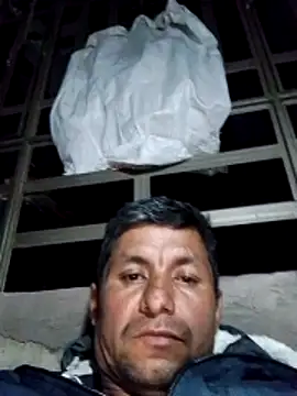 TattyFoxglove webcam