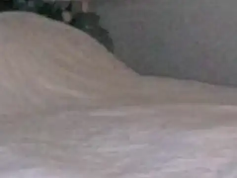 Preview of montydxxxx