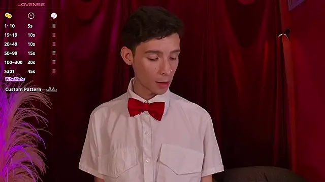 VicenteFerrer webcam