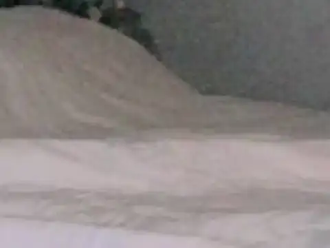 Preview of montydxxxx