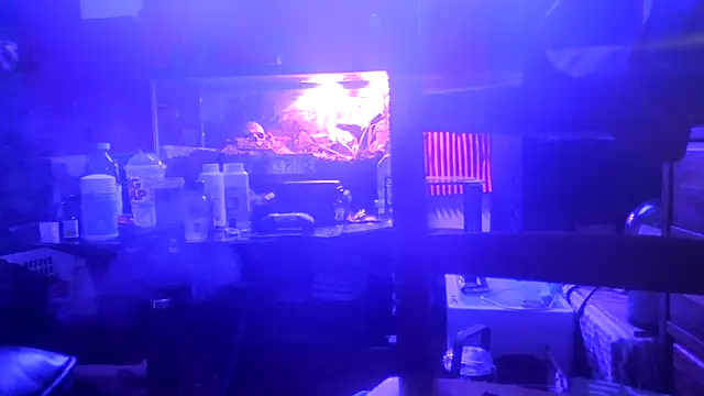 Preview of thehellbilly