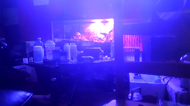 Preview of thehellbilly