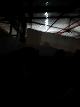 MonasticCanine webcam