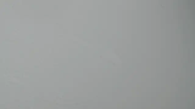 AlejandraScott webcam