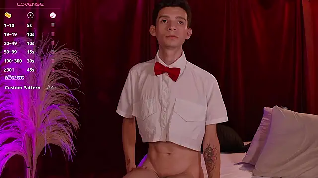 VicenteFerrer webcam