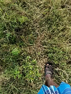 dolphiinn - Dolphiinn's free webcam - UK Sex Cams