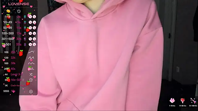 Project_hisoka webcam