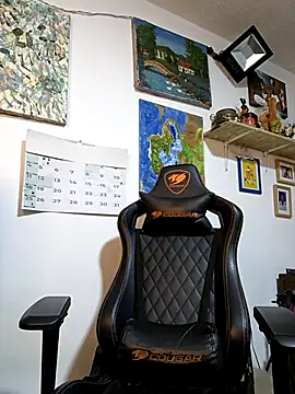 Siriss_boyrag webcam