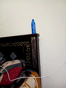 Mee_harini-telugupilla webcam