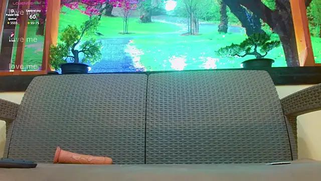 britanny_noroeste webcam