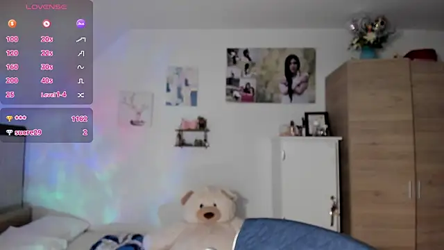 Veronikolsen- webcam