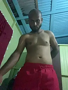 islandvybee55 webcam