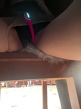 美女petoys在线直播