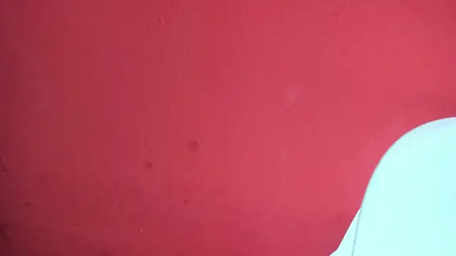 Charlotte_Bms7 webcam