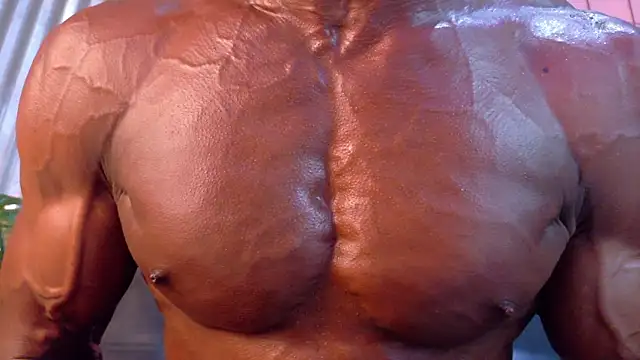 martin_killer webcam