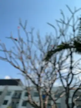 AleksandraRich webcam