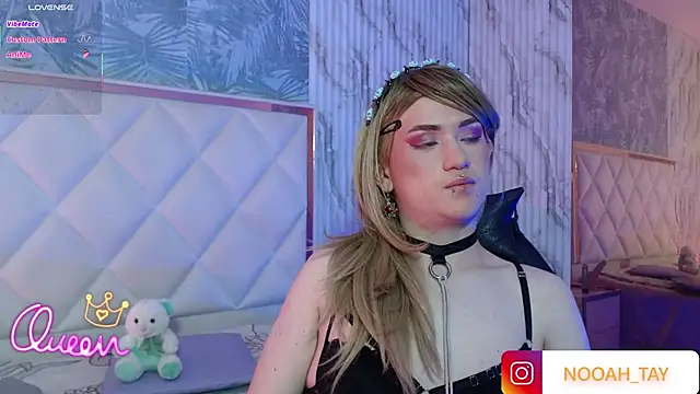 NOOAH_TAY webcam