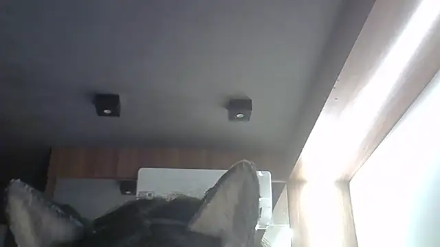 skinnykitten - SkinnyKitten's free webcam - UK Sex Cams