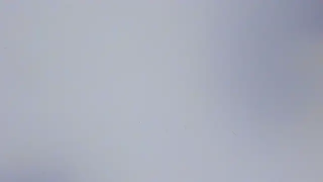 Molly_meow_js webcam