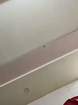 liness101 - Liness101's free webcam