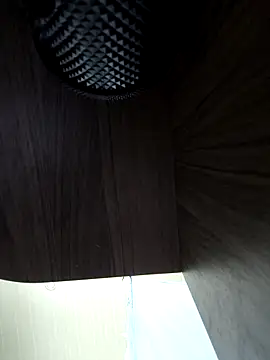 Ladymlem webcam