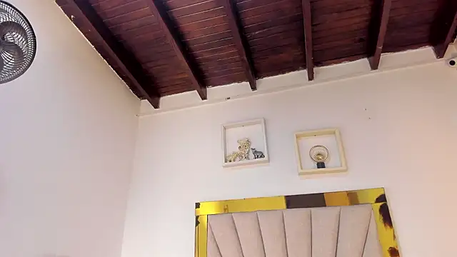 vahiolet_fuentes webcam