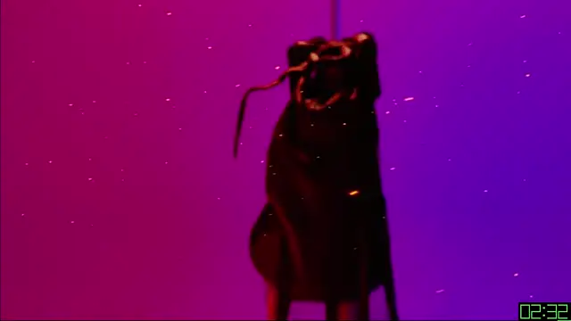 tnt-sister - TNT-Sister's free webcam