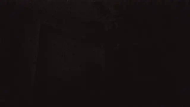 versatilevortex webcam