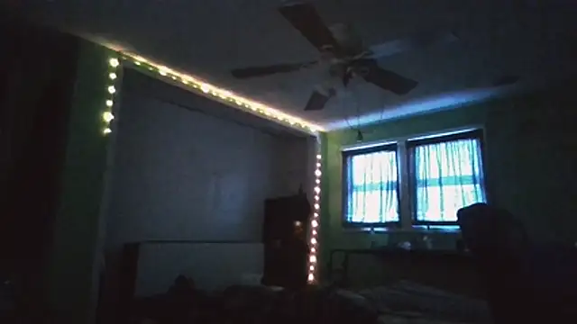 versatilevortex webcam