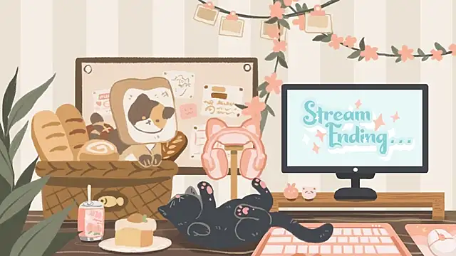 geekycastillo webcam