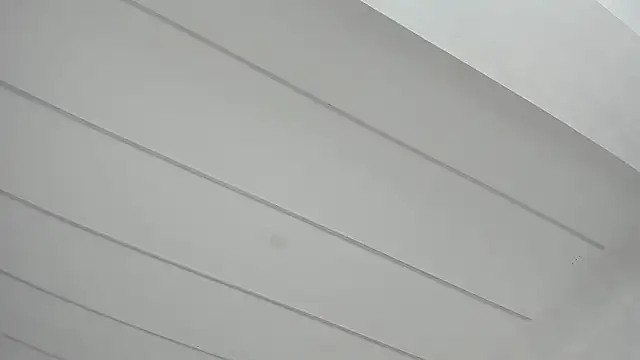 TiffanyHouston_ webcam