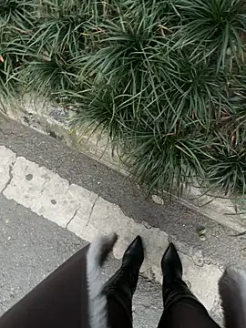 美女petoys在线直播