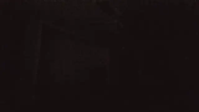 versatilevortex webcam