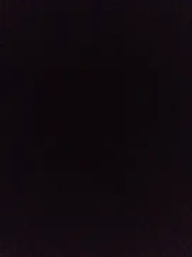 Oscarinylupis2328 webcam