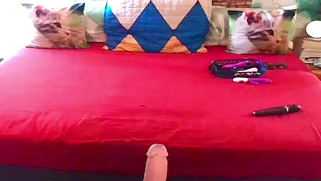 Indian_Blaze00 webcam