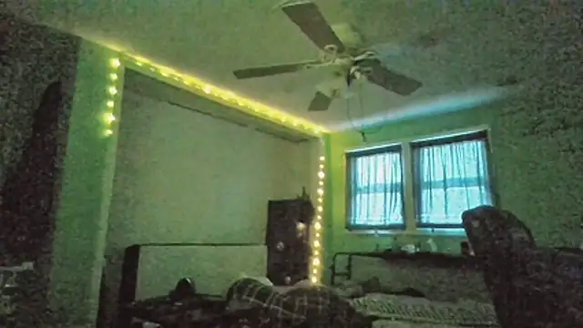 versatilevortex webcam