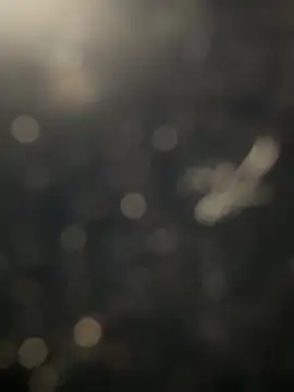 silverbay-456 webcam