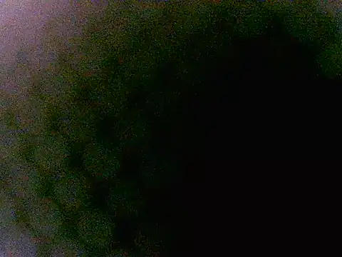 VittoriaTaylor webcam