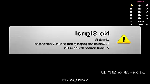 disco_elysium webcam