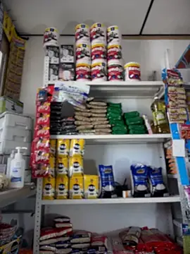 sammyqueenx21 webcam