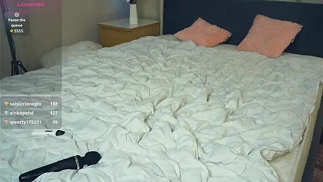 PatricePerlow webcam