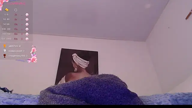 destinne_mill_ webcam