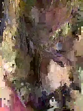 美女meimei_x在线直播