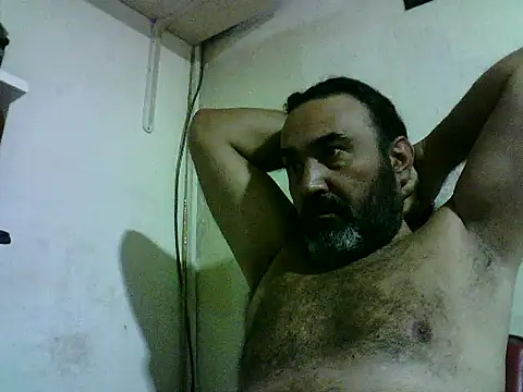 enginbasar webcam