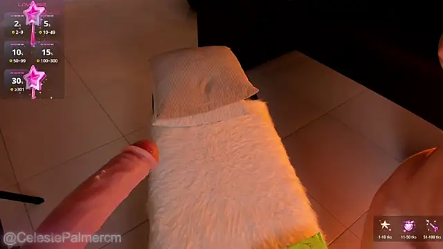 CelestePalmer_ webcam