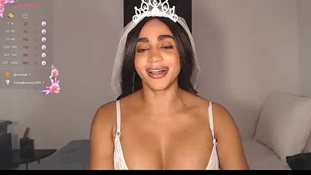 destinne_mill_ webcam